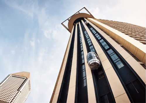 新沂人，请收好这份电梯安全与改造指南